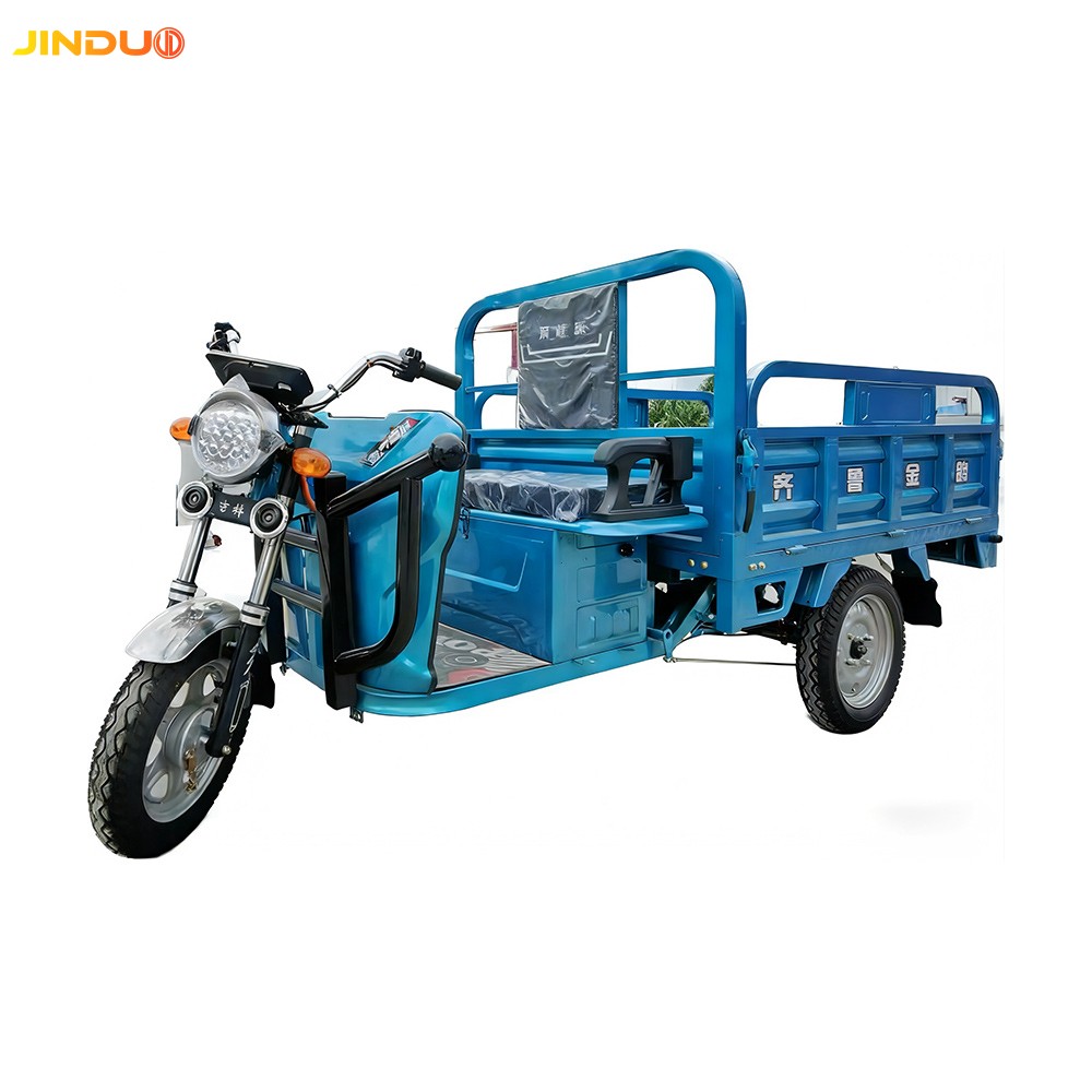 Electric Cargo Tricycle